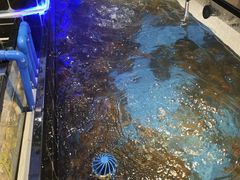 -川骄海鲜自助(河东店)