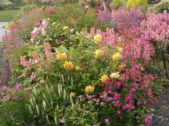 -上海植物园-4号门售票处