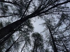 -硗碛藏寨·神木垒景区