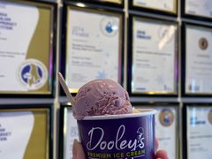 Blackberry-Dooley's Premium Ice Cream