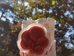 -香山公园