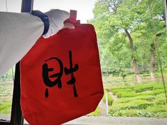 -野蔓果·山野菜(西湖景区·龙井茶田店)