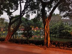 -荔湾湖公园