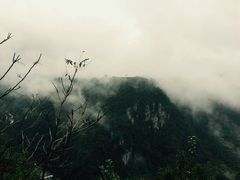 -四明山国家森林公园
