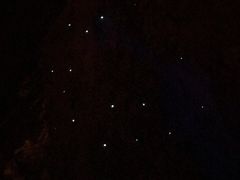 -怀托摩萤火虫洞