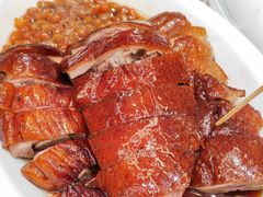 -稻香酒家·34年老字号·港式粤菜(侨光店)