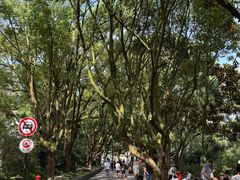 -普陀山慧济禅寺