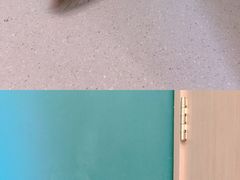 -飞行喵MR PILOT|猫舍·猫咖(静安大融城店)