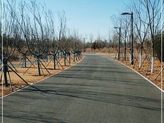 -绿野森林乐园冰雪季