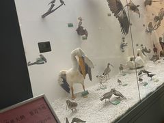 -盐城丹顶鹤湿地生态旅游区