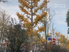 -UNIUNI(凯瑟琳广场店)