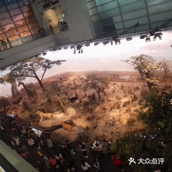 上海科技馆适合亲子游玩