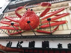-蟹道乐(道顿堀本店)