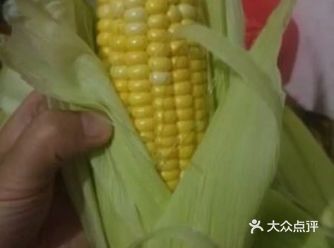 自制玉米汁 材料：玉米，炼乳 做法：1先把玉米洗干净