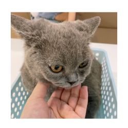 -Moni星球萌宠·小马宝莉·灵蛇·高端高阶全萌宠互动体验俱乐部(红豆国际广场店)