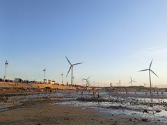 -长江澳风力发电景观区