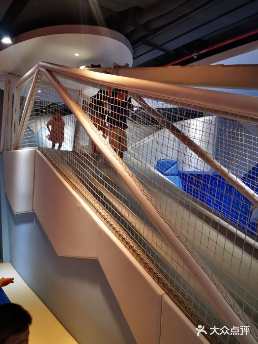 elefun艾力的奇幻世界图片