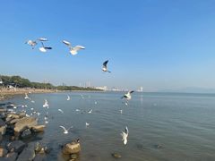 -深圳湾公园(南山区)