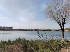 -大兴滨河森林公园
