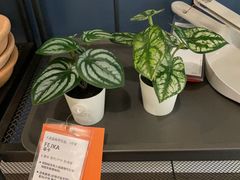 -IKEA宜家家居(南京商场)