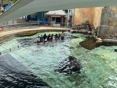 -新加坡水上探险乐园