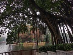 -荔湾湖公园
