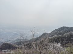 -阳台山自然风景区