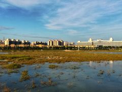 -风云岭森林公园