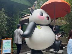-轩客会(熊猫书店)