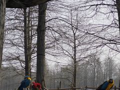 -宁波杭州湾国家湿地公园