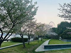 -蠡湖大桥公园