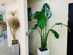 -DX HAIR SALON·发现未知美发沙龙