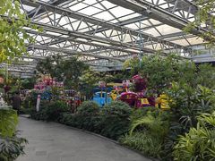 -南宫五洲植物乐园