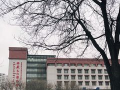 -西藏文化博物馆