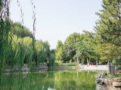 -黄村公园