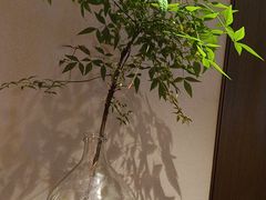 -花锦堂·隐庐