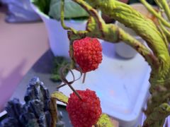 -故里和山·成都火锅(欢乐港湾店)