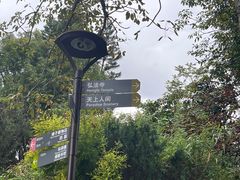 -深圳仙湖植物园