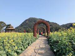 -广州市石门国家森林公园
