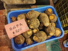 -园林美食城·本土农家菜(杨和镇店)