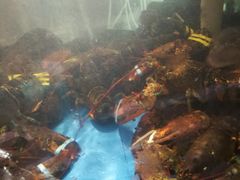 -蟹之国·精品蟹料理(极地店)