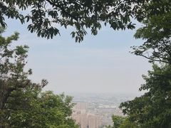 -惠山国家森林公园