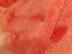 -正兴蜀园(科技园区店)