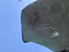 -西海国立公园九十九岛水族馆