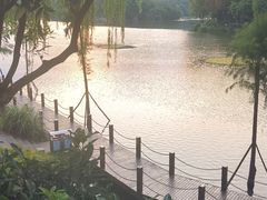 -重庆彩云湖湿地公园