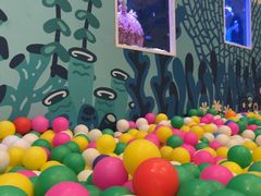 -海合安成都极地海洋公园