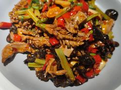 -雲蜀龙阁·金牌水煮鱼(方庄店)