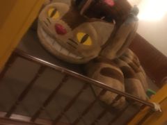 -三鹰之森吉卜力美术馆