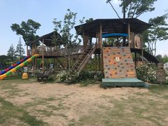 景点-上海长兴岛郊野公园