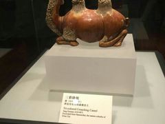 -西安大唐西市博物馆